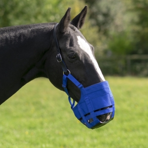 Anti-grazing The Ultimate Muzzle Pony
