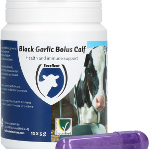 Black Garlic Bolus Calf
