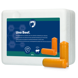 UNO Beef (Vleesvee)