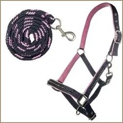 Halters & ropes