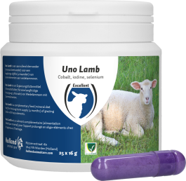 Excellent Uno Lam 25 x 16 g