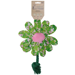 Garden Paws Flower Summer Shrubs M