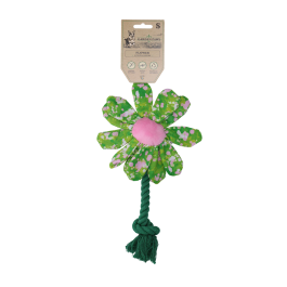 Garden Paws Flower Summer Shrubs S