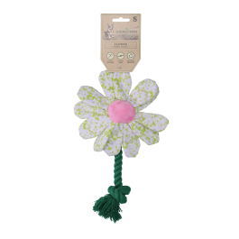 Garden Paws Flower Spring Sakura S