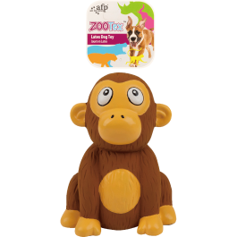 AFP Chistopher Chimp