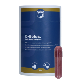 D-Bolus (Bicarbonaat pil)