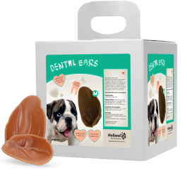 Dental Ears Medium 12st