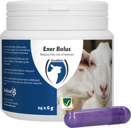 Ener Bolus Schaap & Geit