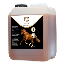 Equi Flex HA Liquid
