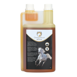 Equi Omega Boost