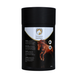 Bockshornklee (Fenugreek)