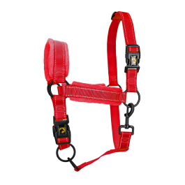 Excellent Horse Superior Halster M Pony Rood