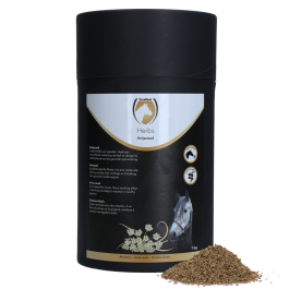 Ausgezeichnete Kräuter Anis