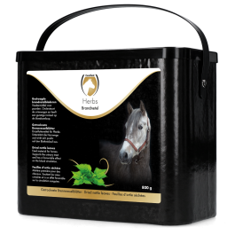 Ausgezeichnete Kräuter Brennnessel