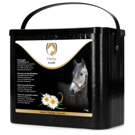 Ausgezeichnete Kräuter Kamille