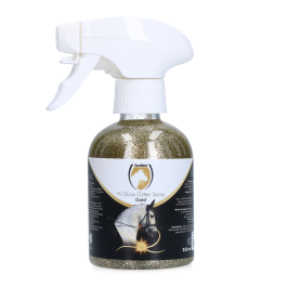 Hi Gloss Glitter Spray Goud
