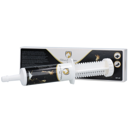 Horse Electrolytes Gel Injector