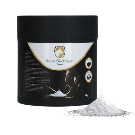 Horse Electrolytes Poeder met B2