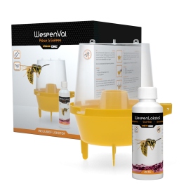 Knock Pest Wespenval