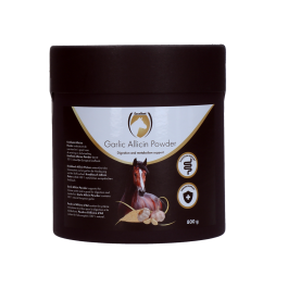 Garlic Allicin Powder EU (Knoflook poeder)