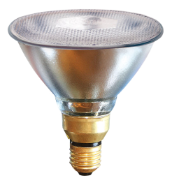 Lamp 100 W wit Philips spaar