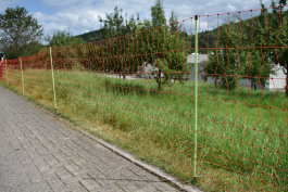 Euro-Net Combi Pluimvee 112 cm dubbelpunt