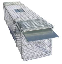 Doorloopval rat, marter, bunzing, kat en vos 122x29x32cm