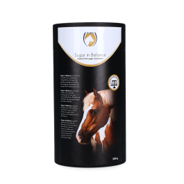 Excellent Horse Sugar in Balance
