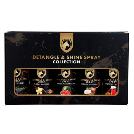 Detangle & Shine Spray Geschenkset 5 x 50 ML