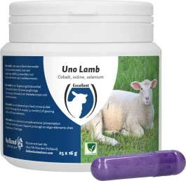 Excellent Uno Lam 25 x 16 g