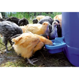 Drinkkom pluimvee voor zelfmontage