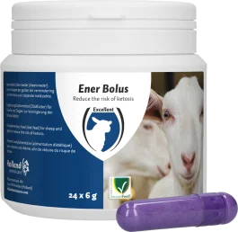 Ener Bolus Schaf & Ziege