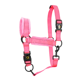 Excellent Horse Superior Halster L Cob Roze