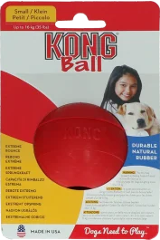 KONG Ball with hole Small
