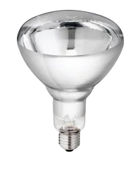 Lamp 250w wit Hard Glas Philips