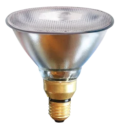 Lamp 100 W wit Philips spaar