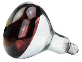 Lamp 150 W infrarood Hard Glas
