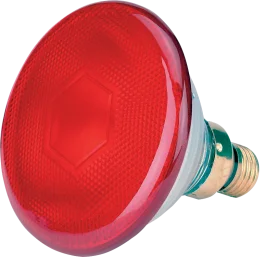 Lamp 175 W rood Philips spaar