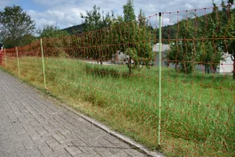 Euro-Net Combi Pluimvee 112 cm dubbelpunt