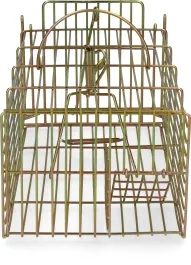 Walk-in rat live mass