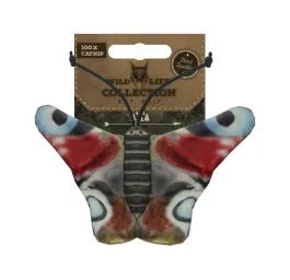 Wild Life Cat Peacock Butterfly (Day peacock)