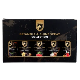 Detangle & Shine Spray Geschenkset 5 x 50 ML